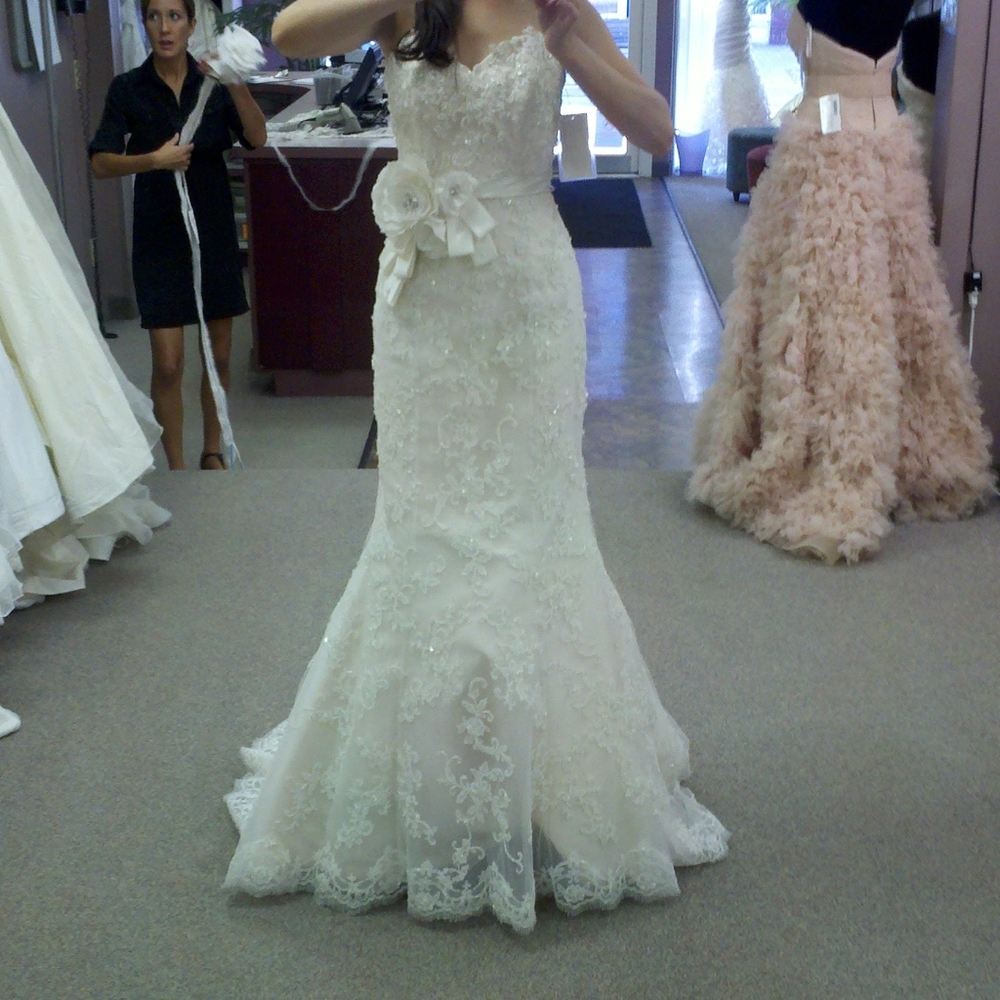 Sottero and Midgley Wedding Dress
